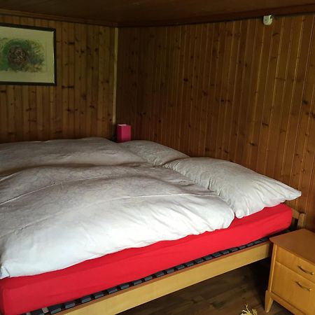 Wohlfuehloase Fuer Mensch Und Hund Bed and Breakfast Uzwil Eksteriør billede
