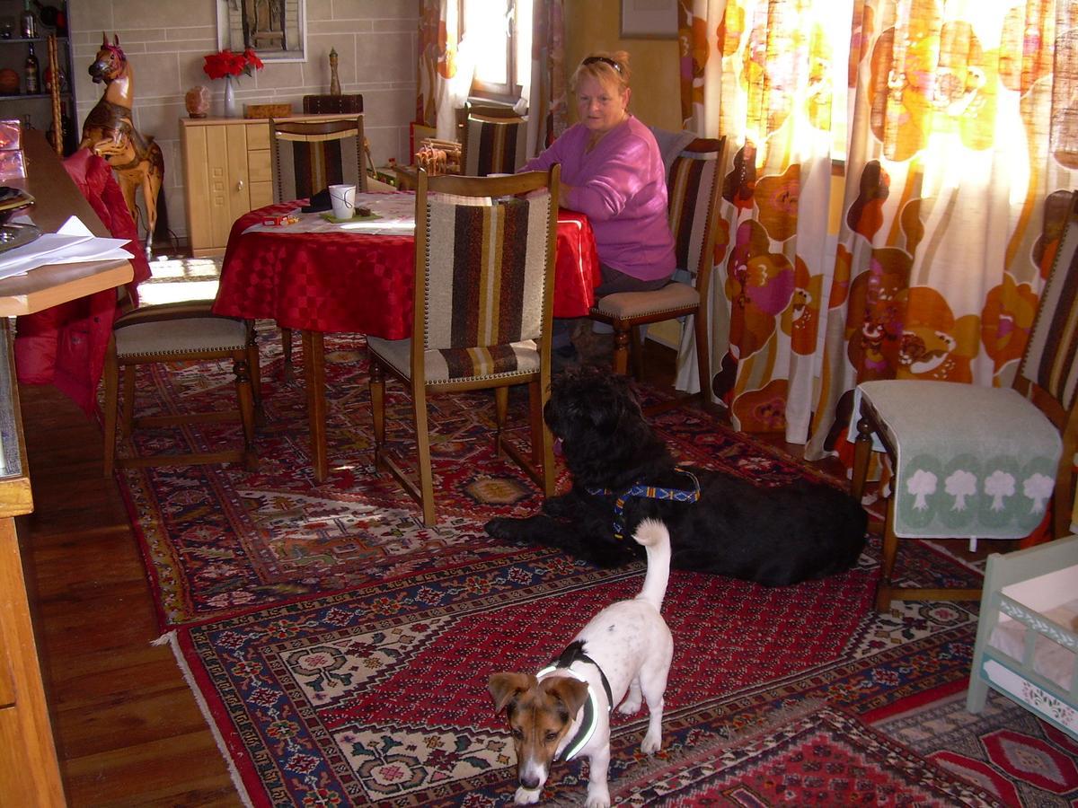 Wohlfuehloase Fuer Mensch Und Hund Bed and Breakfast Uzwil Eksteriør billede