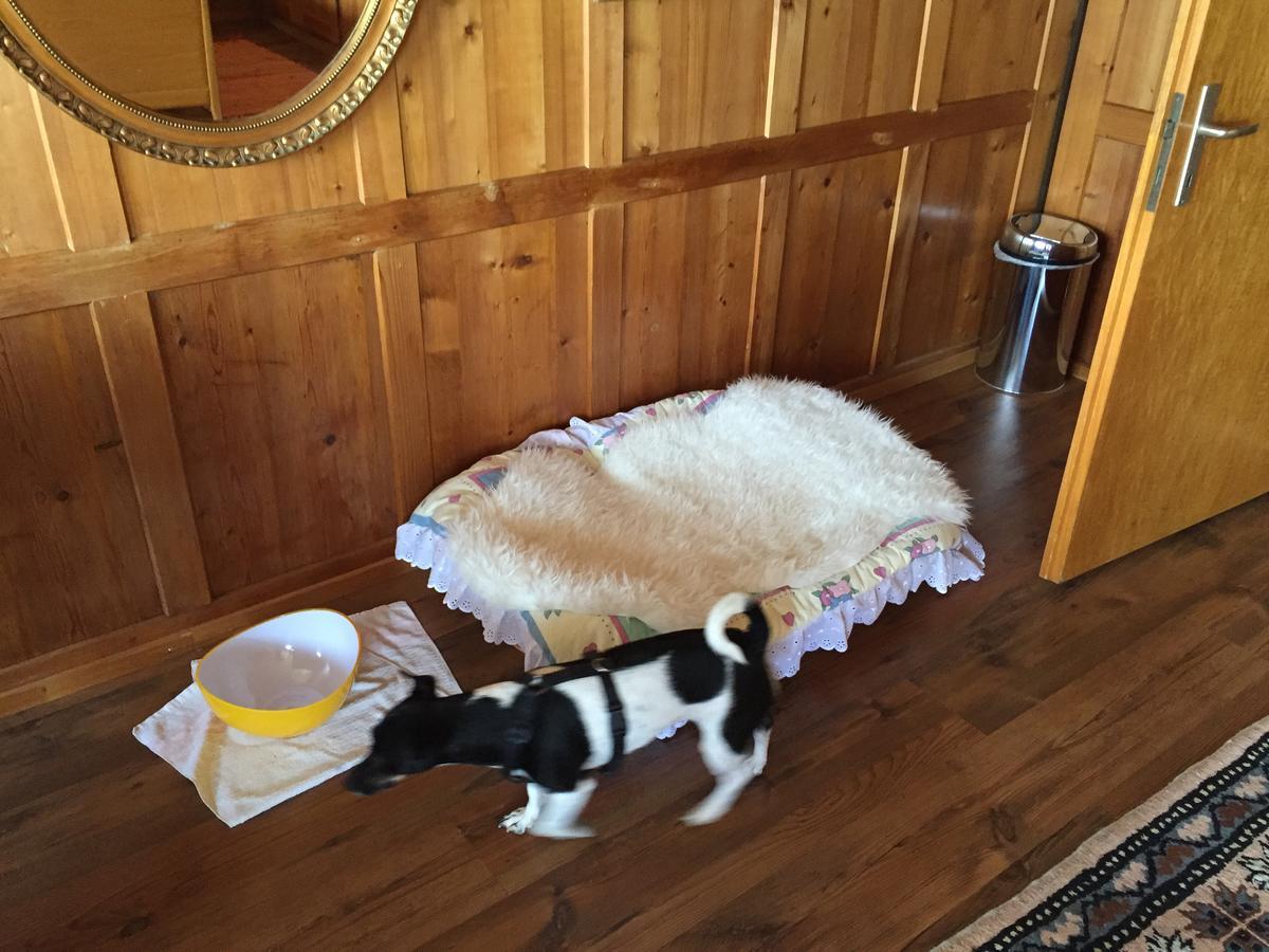Wohlfuehloase Fuer Mensch Und Hund Bed and Breakfast Uzwil Eksteriør billede