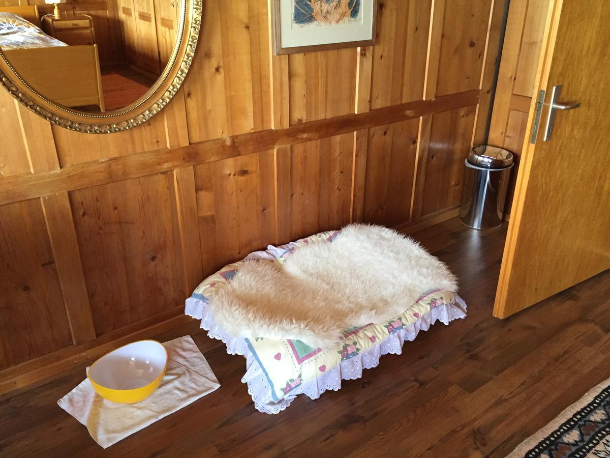 Wohlfuehloase Fuer Mensch Und Hund Bed and Breakfast Uzwil Eksteriør billede