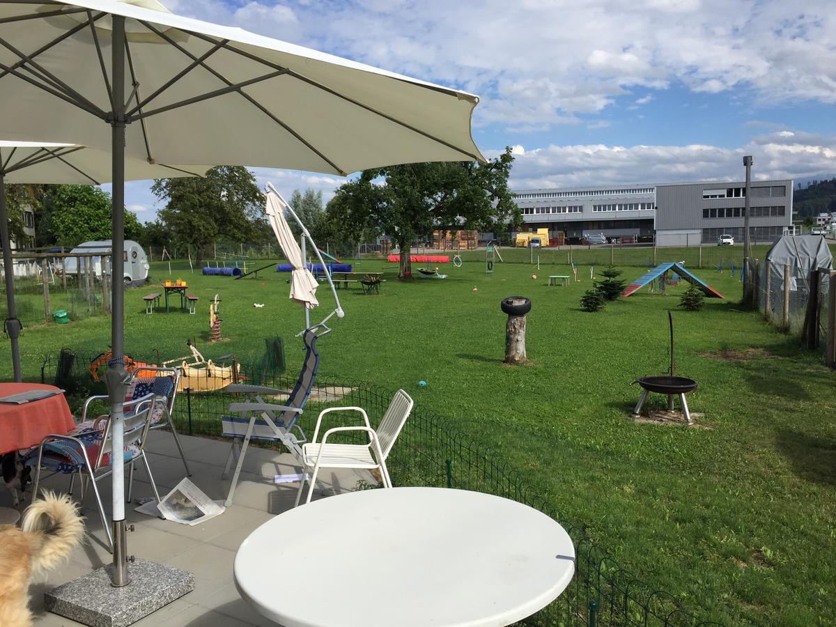Wohlfuehloase Fuer Mensch Und Hund Bed and Breakfast Uzwil Eksteriør billede